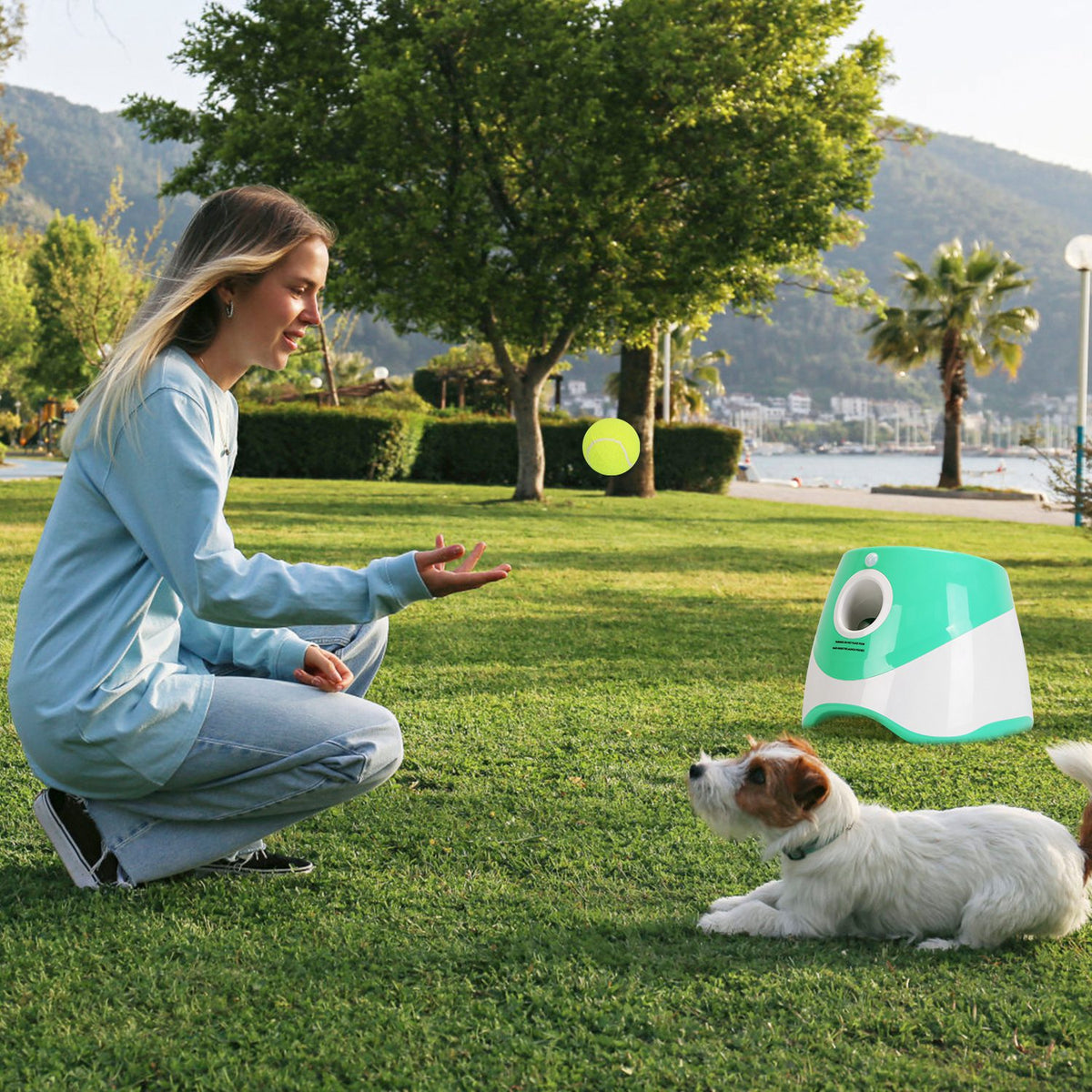 1Pc Automatic Dog Ball Launcher Toy Included 6 Tennis Balls Dog With 3 - Image 2