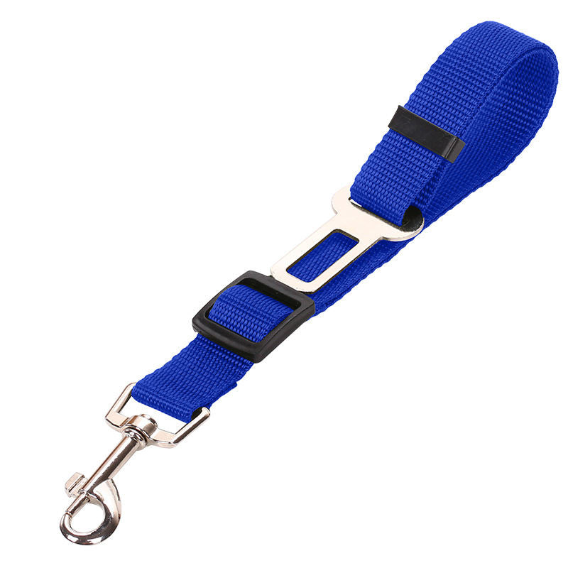 seat belts dogs car pet in use lifestyle