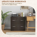 2 Drawer File Cabinet with Lock Office Filing Cabinet Hanging Bar for Letter