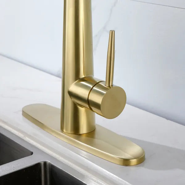 Gold Kitchen Faucets with Pull Down Sprayer; Kitchen Sink Faucet with Pull Out - Image 4