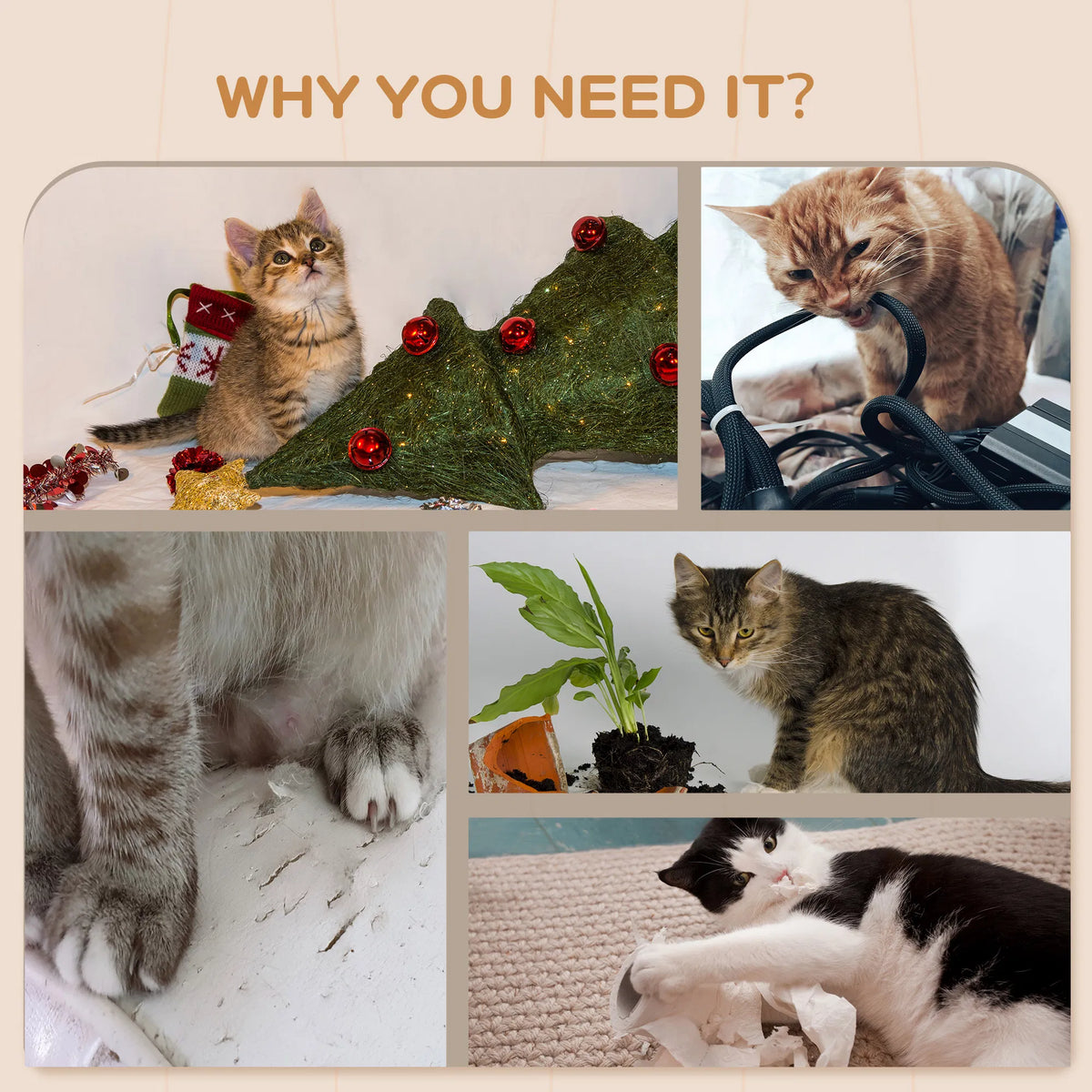 Cat Wall Shelf with Washable Cushion Wall Mounted Cat Condo Furniture for - Image 4