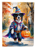 Bernese Mountain Dog Halloween Trick Or Treat House Flag Large Porch Sleeve - Image 8
