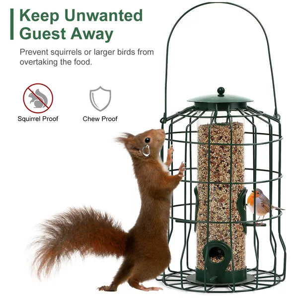 outdoor wild bird feeder squirrel packaging and components