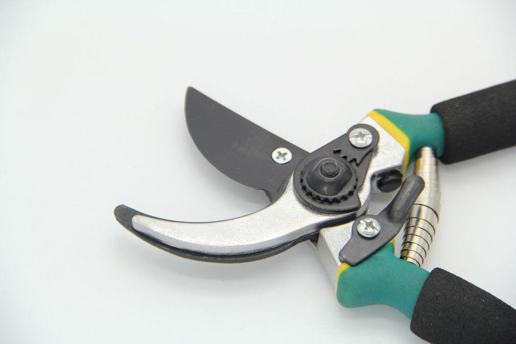 garden shears fruit tree pruning in use lifestyle