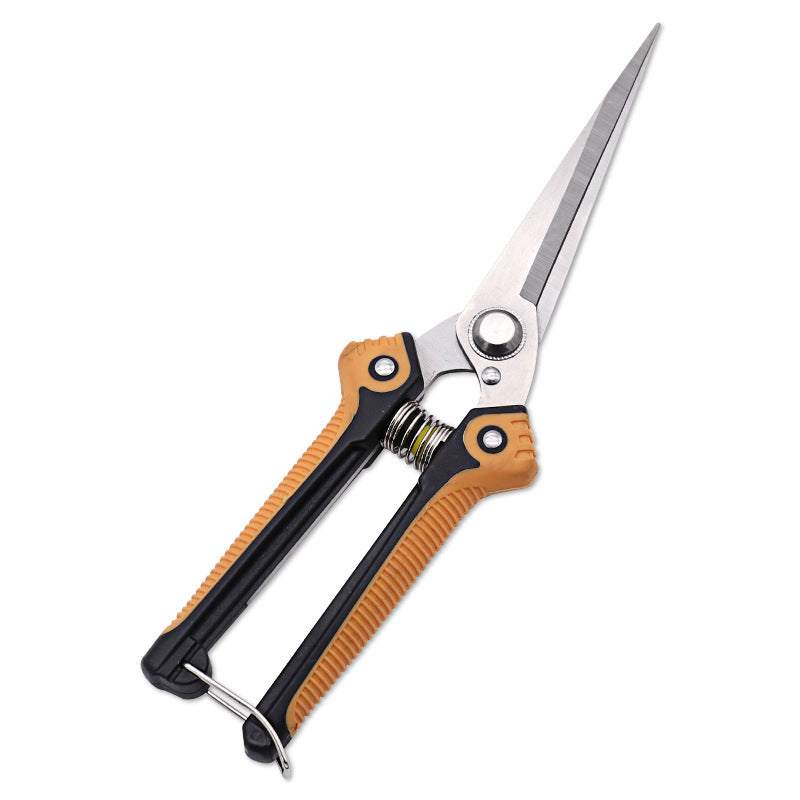 gardening shears pruning branches main view
