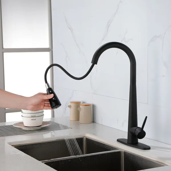 Kitchen Faucets with Pull Down Sprayer; Kitchen Sink Faucet with Pull Out - Image 2
