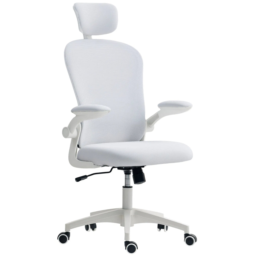 Office Chair Mesh Computer Desk Chair with Adjustable Headrest 4D Lumbar