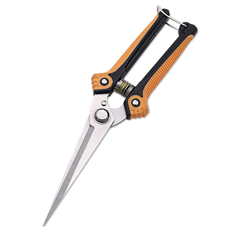 gardening shears pruning branches detail and structure