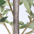 6FT Artificial Olive Tree in Black Plastic Pot 1pc/set - Image 3