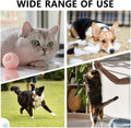 Electric Dog Cat Ball Toy Indoor Large And Small Cat Dog Interactive