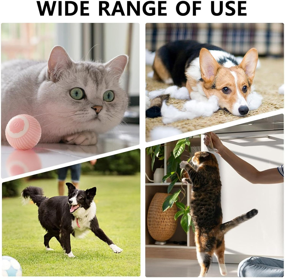 Electric Dog Cat Ball Toy Indoor Large And Small Cat Dog Interactive