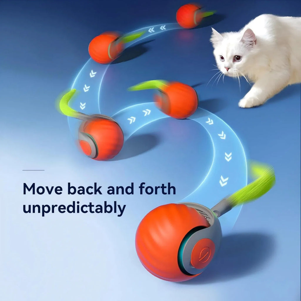 Cat Toy Interactive Cat Ball CatToys for Indoor Cats Adjustable Sports Rolling - Image 5