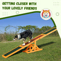 Wooden Dog Agility Seesaw for Balance Training and Exercise Platform Equipment