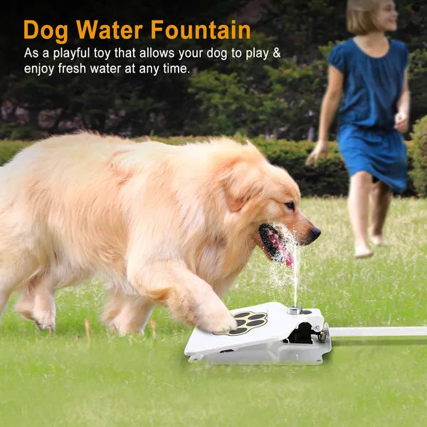 dog water fountain outdoor pet dimensions and features