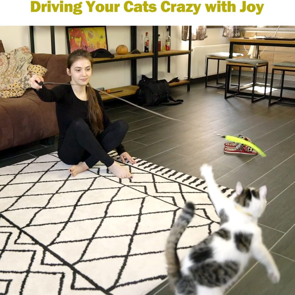 Cat Toys For Indoor Cats Interactive Cat Toy 2PCS Retractable Wand Toy And - Image 4