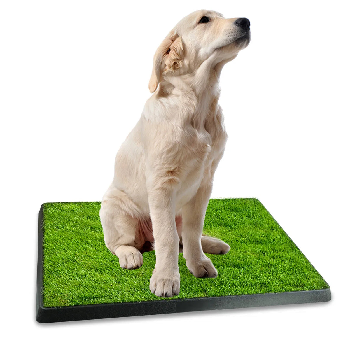 25"×20" Dog Toilet Indoor Puppy Training Pad Dog Potty Pet Training Grass Mat - Image 2