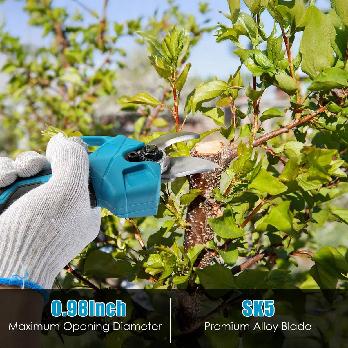 2 in 1 Electric Pole Pruning Shears with Brushless Motor and Extension Pole - Additional Product View Pole Pruning Shears