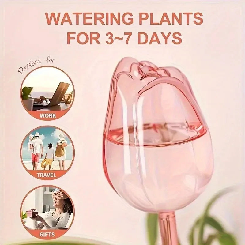pink tulip plant watering balls main view