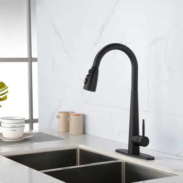 Kitchen Faucets with Pull Down Sprayer; Kitchen Sink Faucet with Pull Out