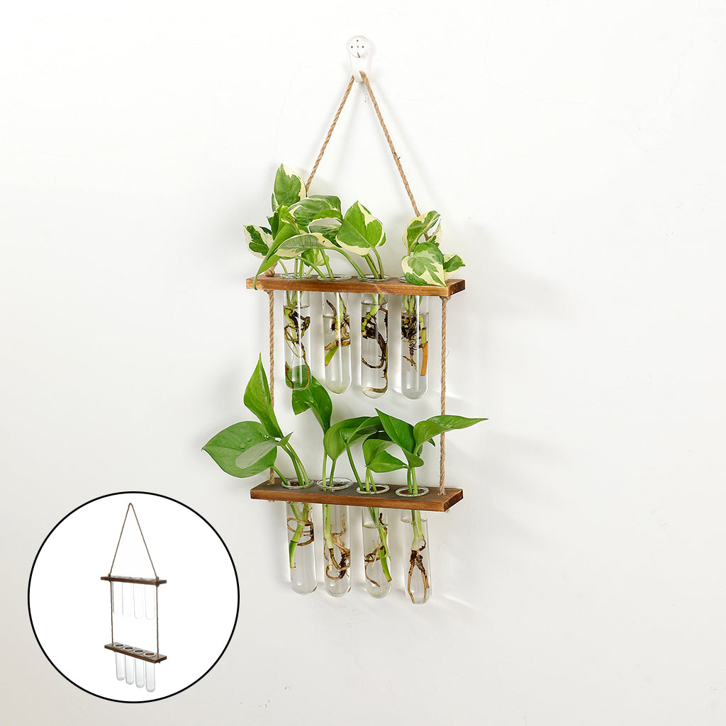 wall hanging terrarium flower glass in use lifestyle