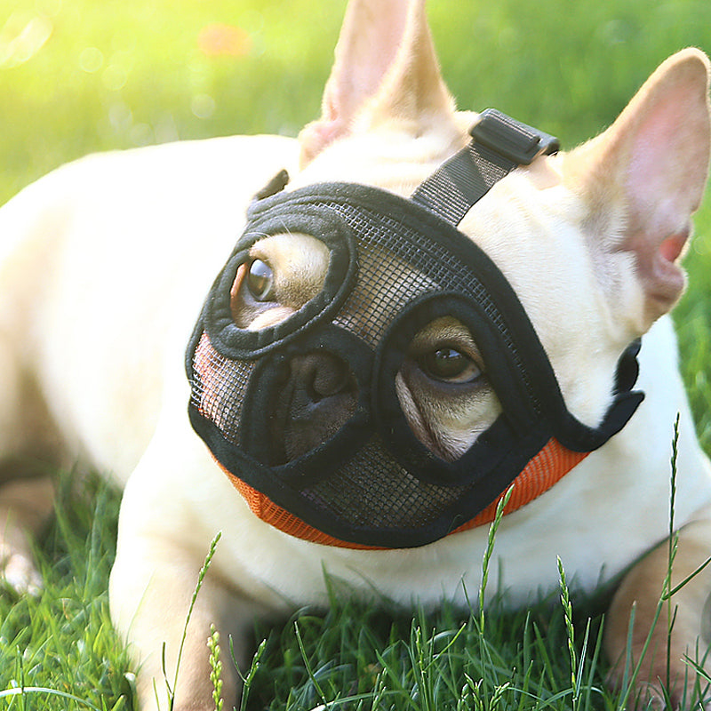 Hoopet Pet Small Dog French Bulldog Muzzle Dog Mouse Basket Breathable Muzzle - Image 2