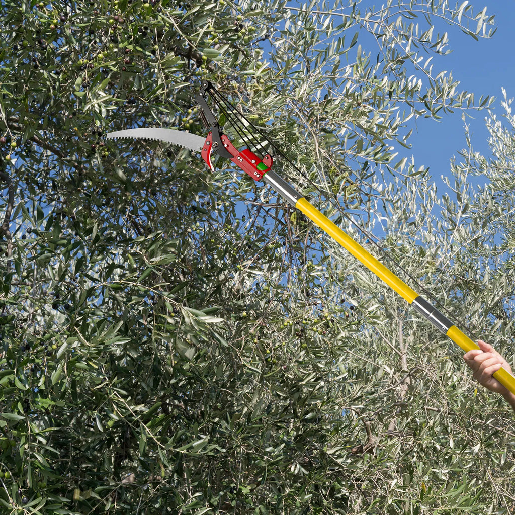 24ft Manual Pole Saw Lightweight Tree Trimmers Long Handle Pruner Set Sharp - Image 4