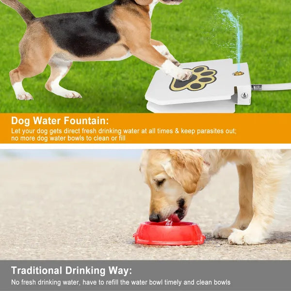 dog water fountain outdoor pet in use lifestyle