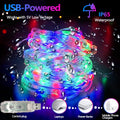 LED Rope Lights Outdoor RGB Remote Control Fairy String Lights Plug In With
