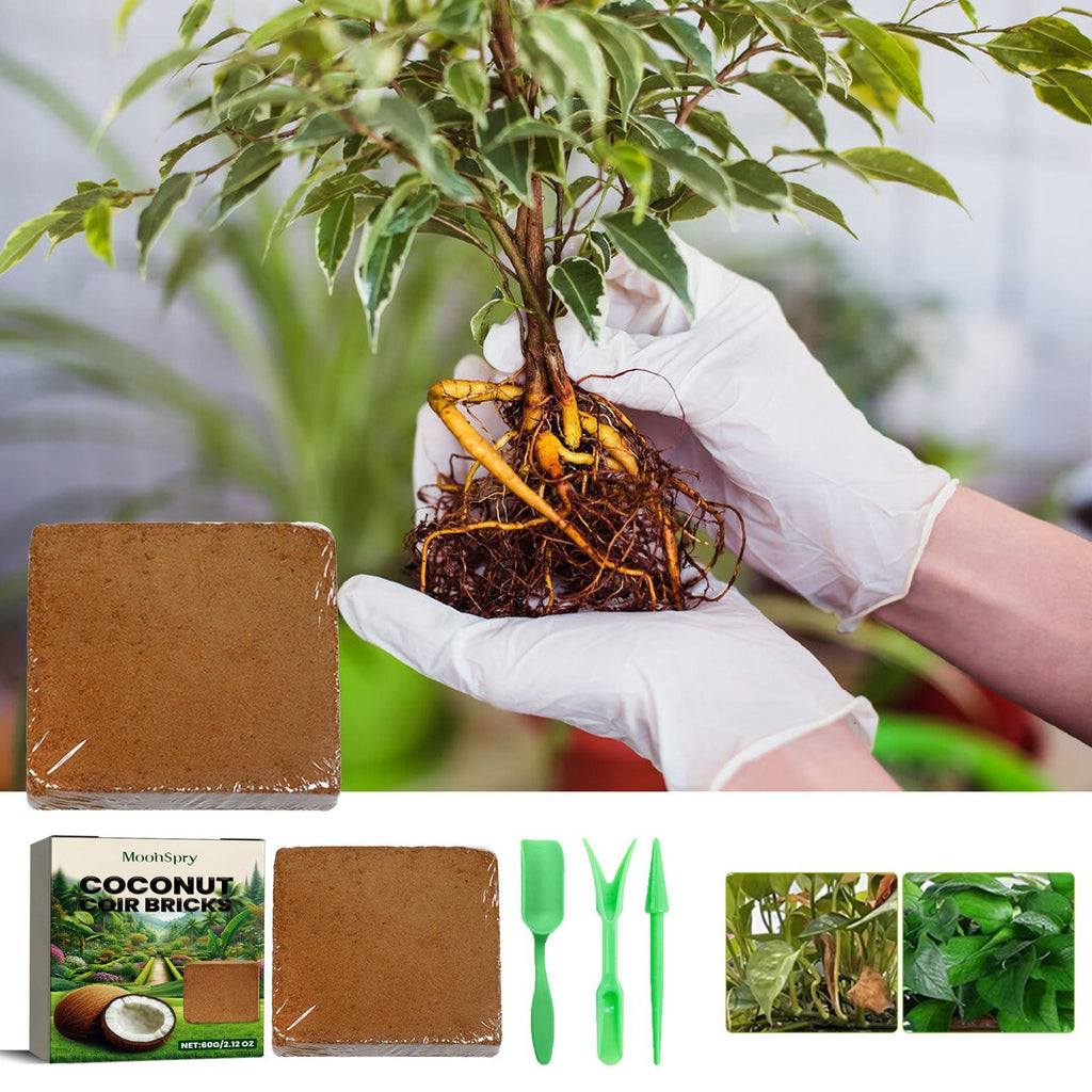 MOONSPRY Coconut Coir Brick and Mini Tool Set 60 g Coir Brick with 3 Mini Tools - Image 3