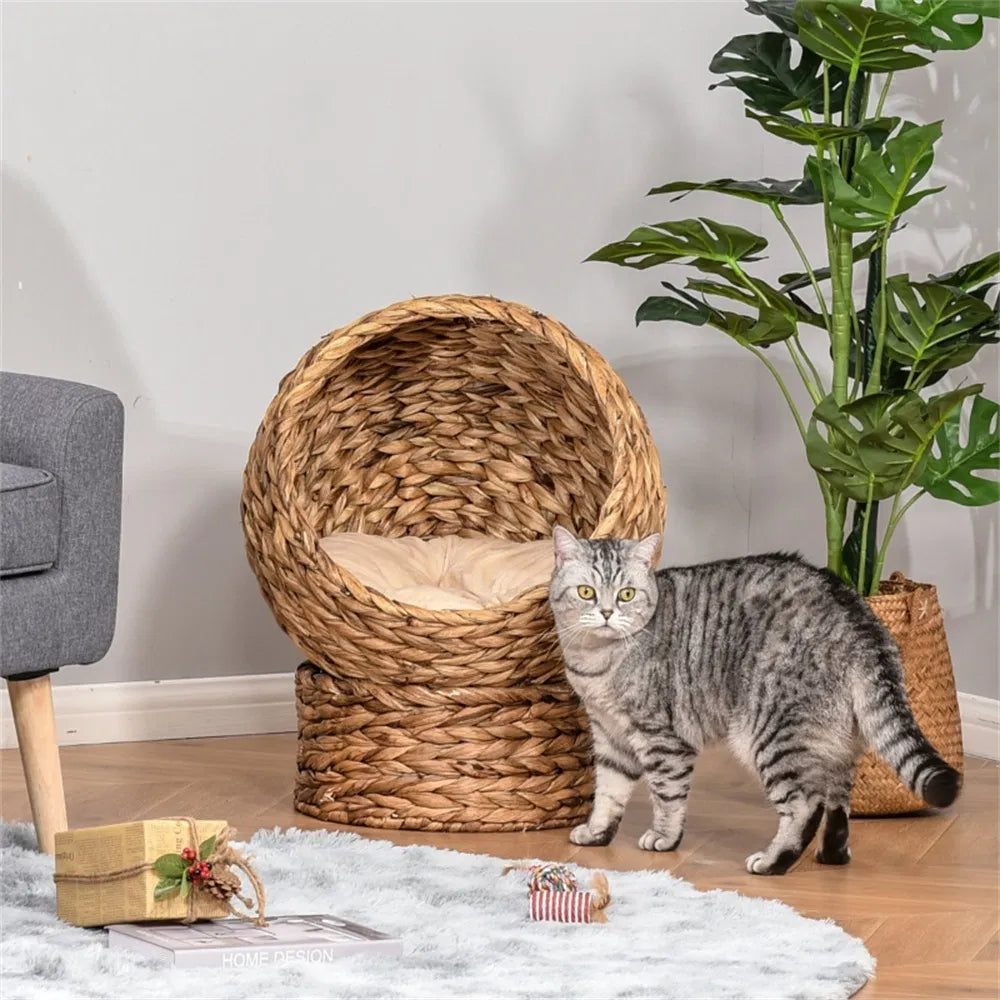 Pet Cat Bed/Cat House ( Amazon Shipping)(Prohibited by WalMart) - Image 2