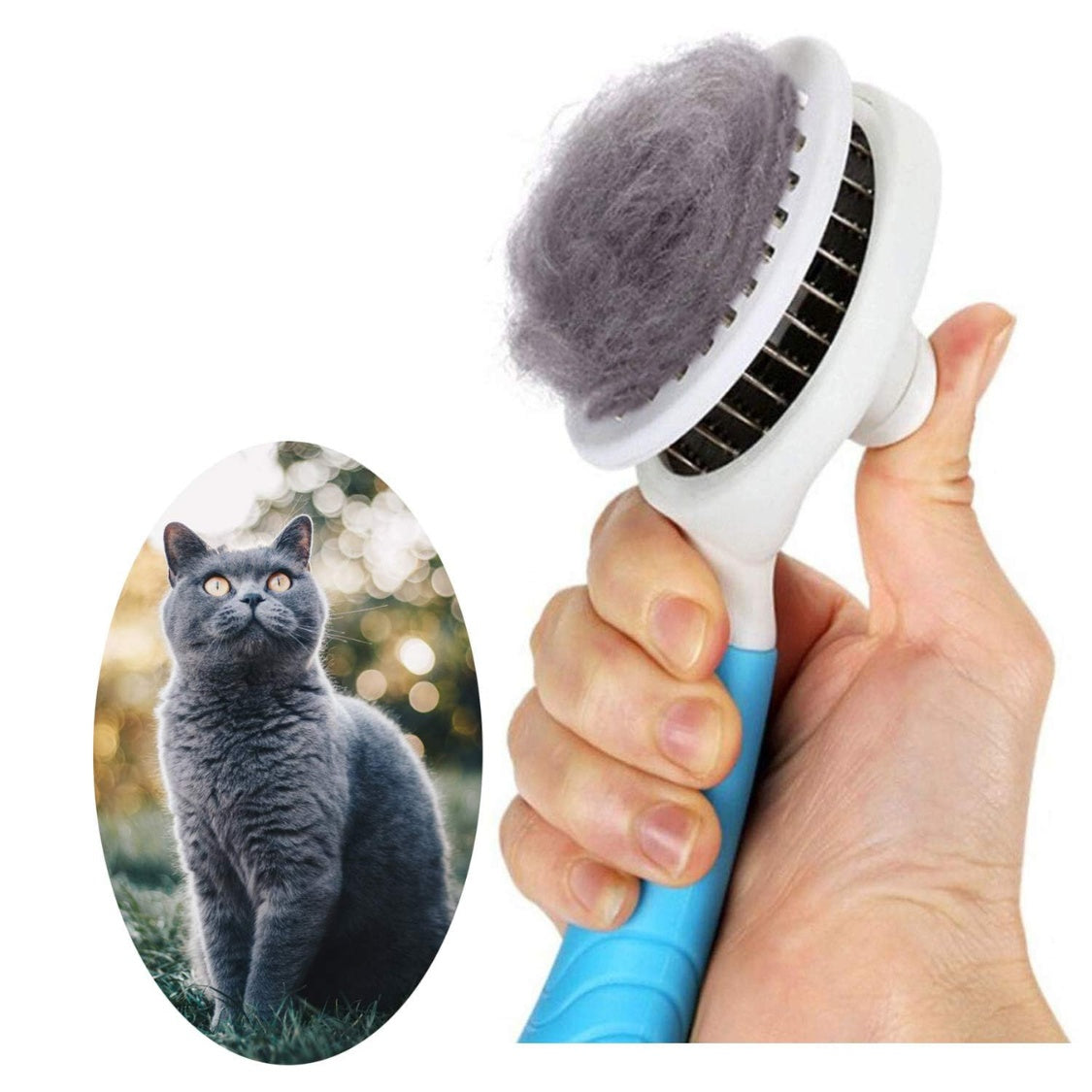 self cleaning slicker brush cat main view