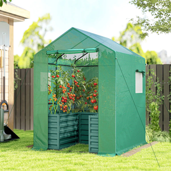 Walk-In Greenhouse with Raised Garden Bed