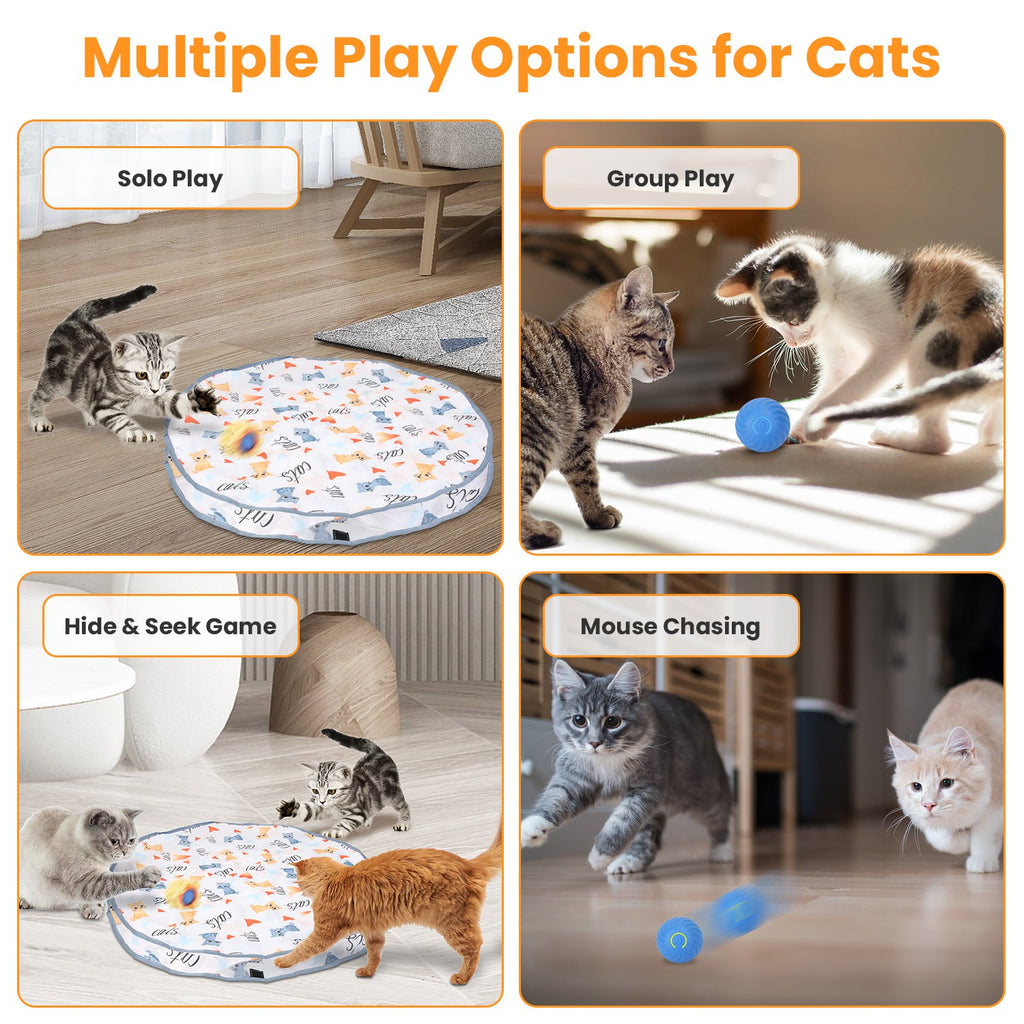 1Pc Cat Toys Ball Fast Rolling In Pouch Rechargeable Motion Activated - Image 5