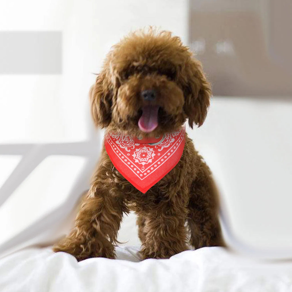 Adjustable Bandana Leather Pet Collar Triangle Scarf - Image 3