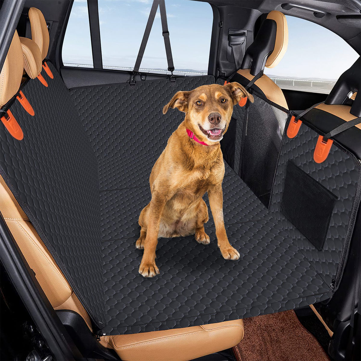 dog car back seat cover detail and structure