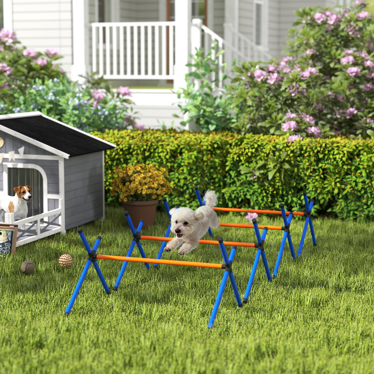 4 Pieces Dog Agility Equipment Dog Agility Course Backyard Set with Adjustable - Image 5