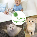 Electric Dog Cat Ball Toy Indoor Large And Small Cat Dog Interactive