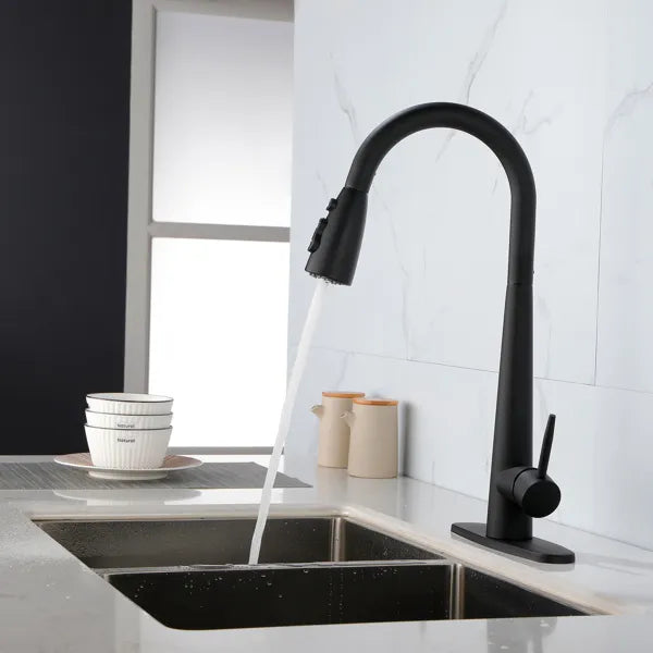 Kitchen Faucets with Pull Down Sprayer; Kitchen Sink Faucet with Pull Out - Image 5