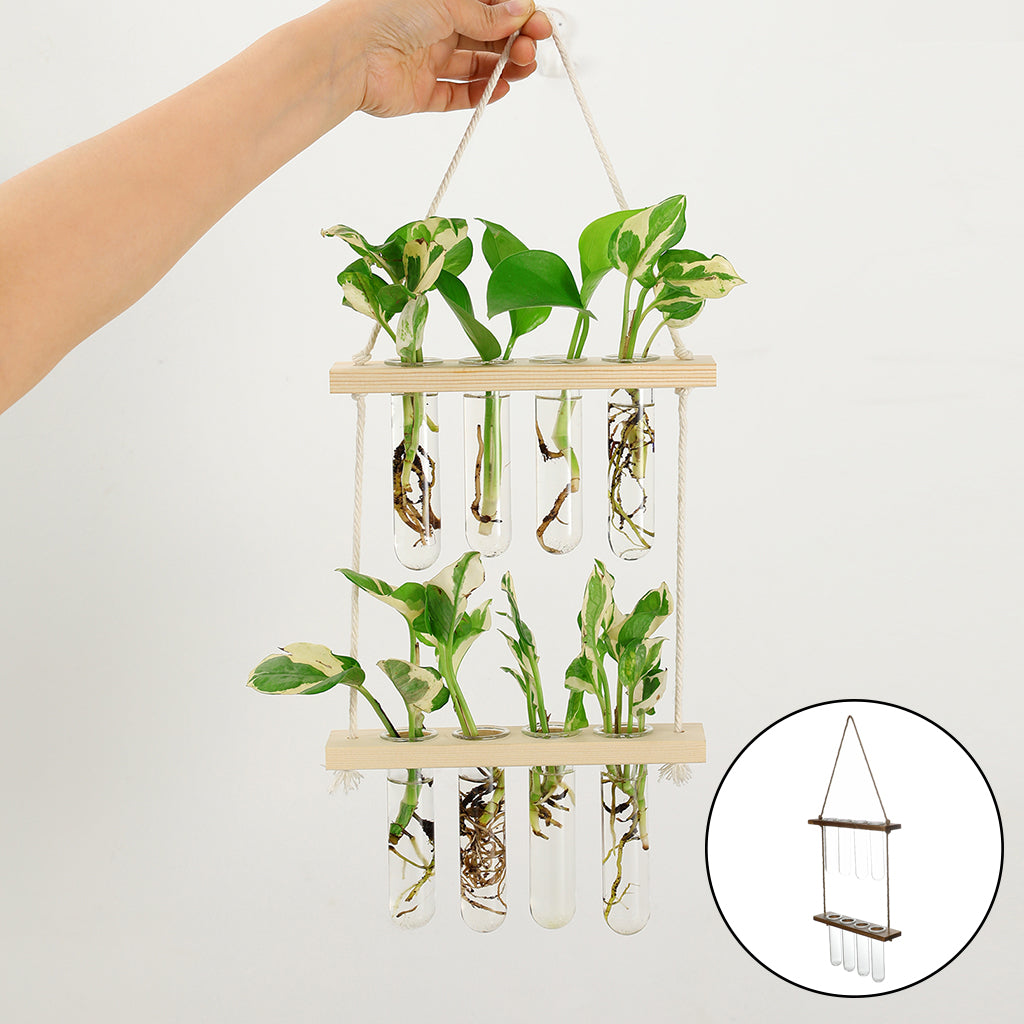 wall hanging terrarium flower glass packaging and components