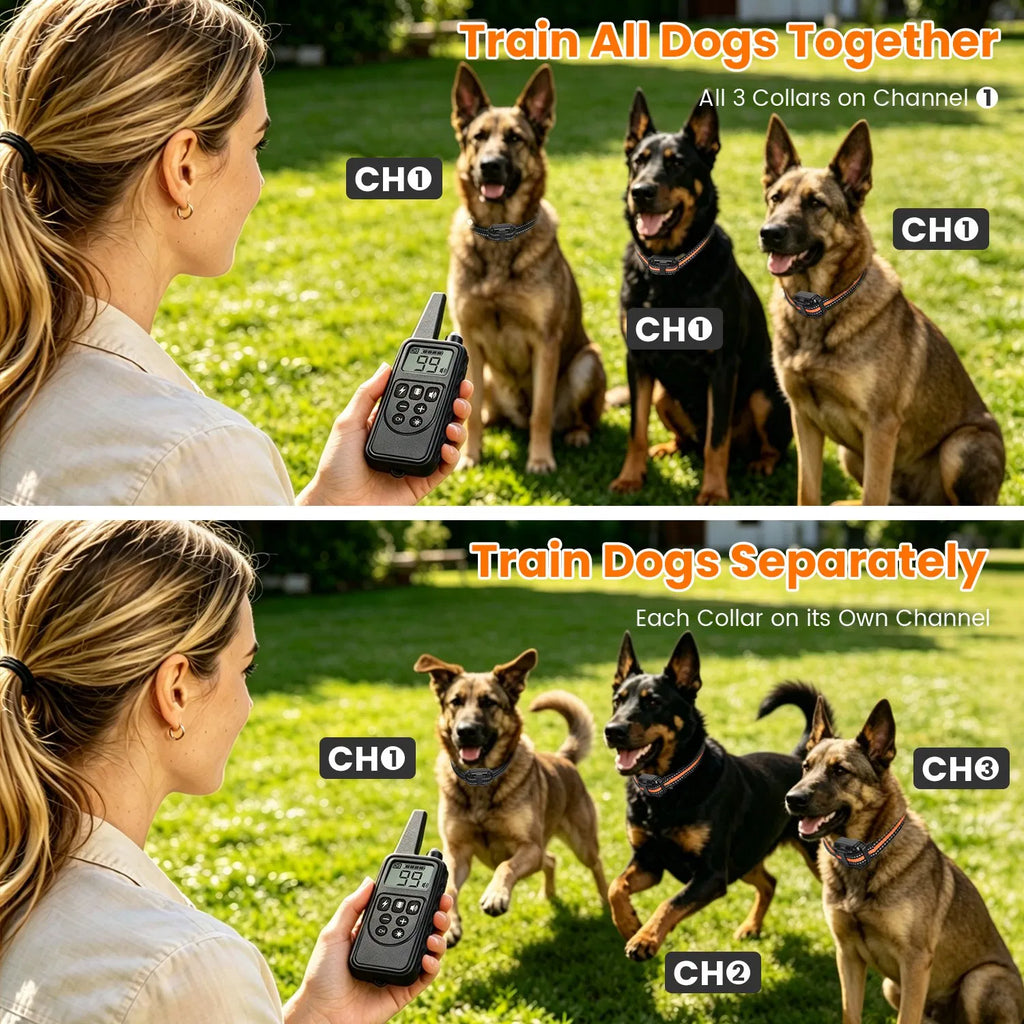 Dog Training Collar with Remote Rechargeable Dog Training Collar IP68