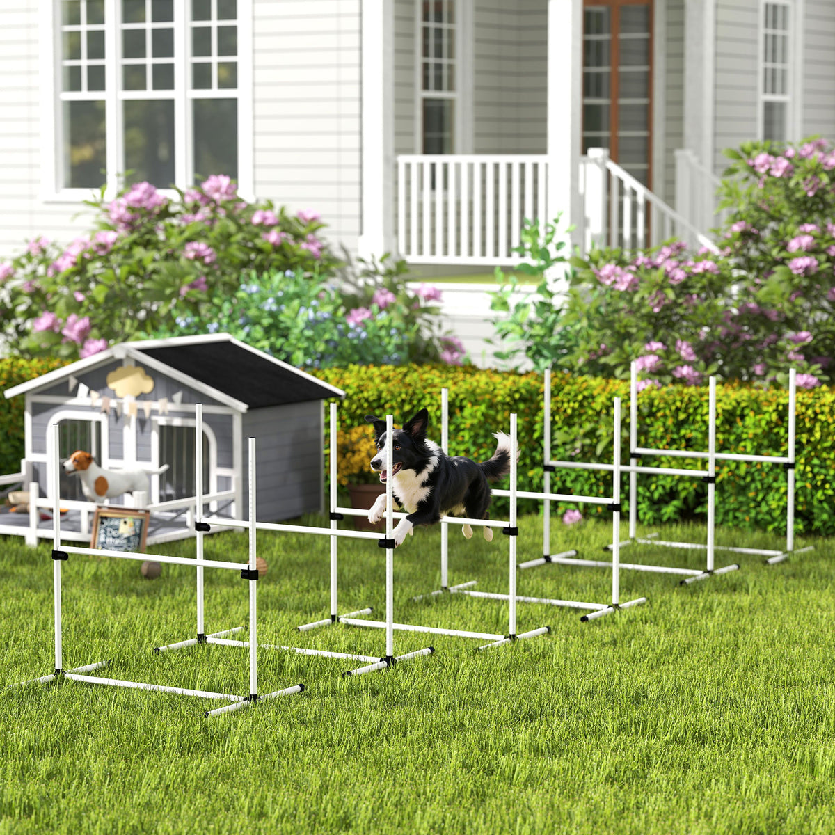 6 Piece Dog Agility Set with Adjustable Height Jump Bars Carry Bag Displacing