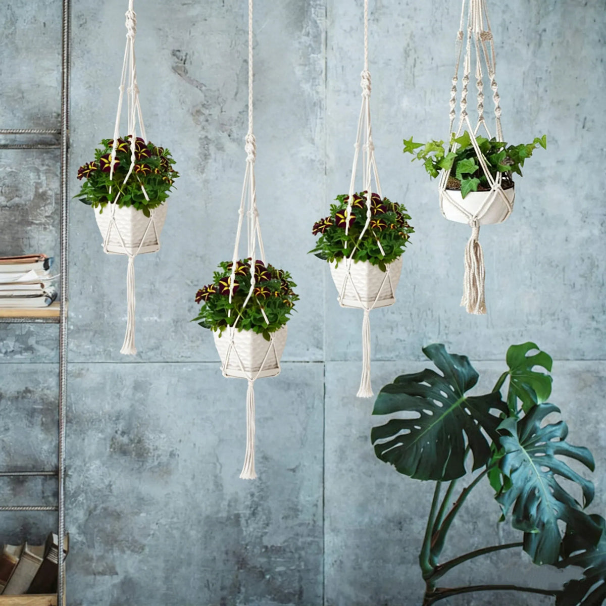 4 PCS Heavy Duty Hanging Plant Holder Natural Cotton Rope Planter Basket with - Image 5