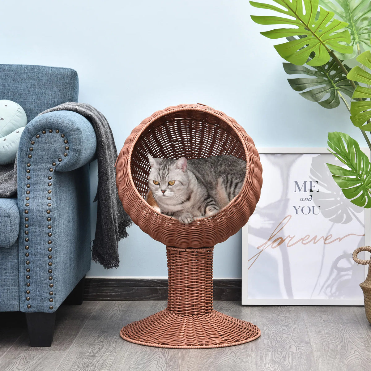 Pet Cat Bed/Cat House (No shipments on weekends) - Image 2