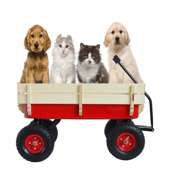 Outdoor Sport Wagon Tools Cart Wooden Side Panels Air Tires Wagon Red - Image 5