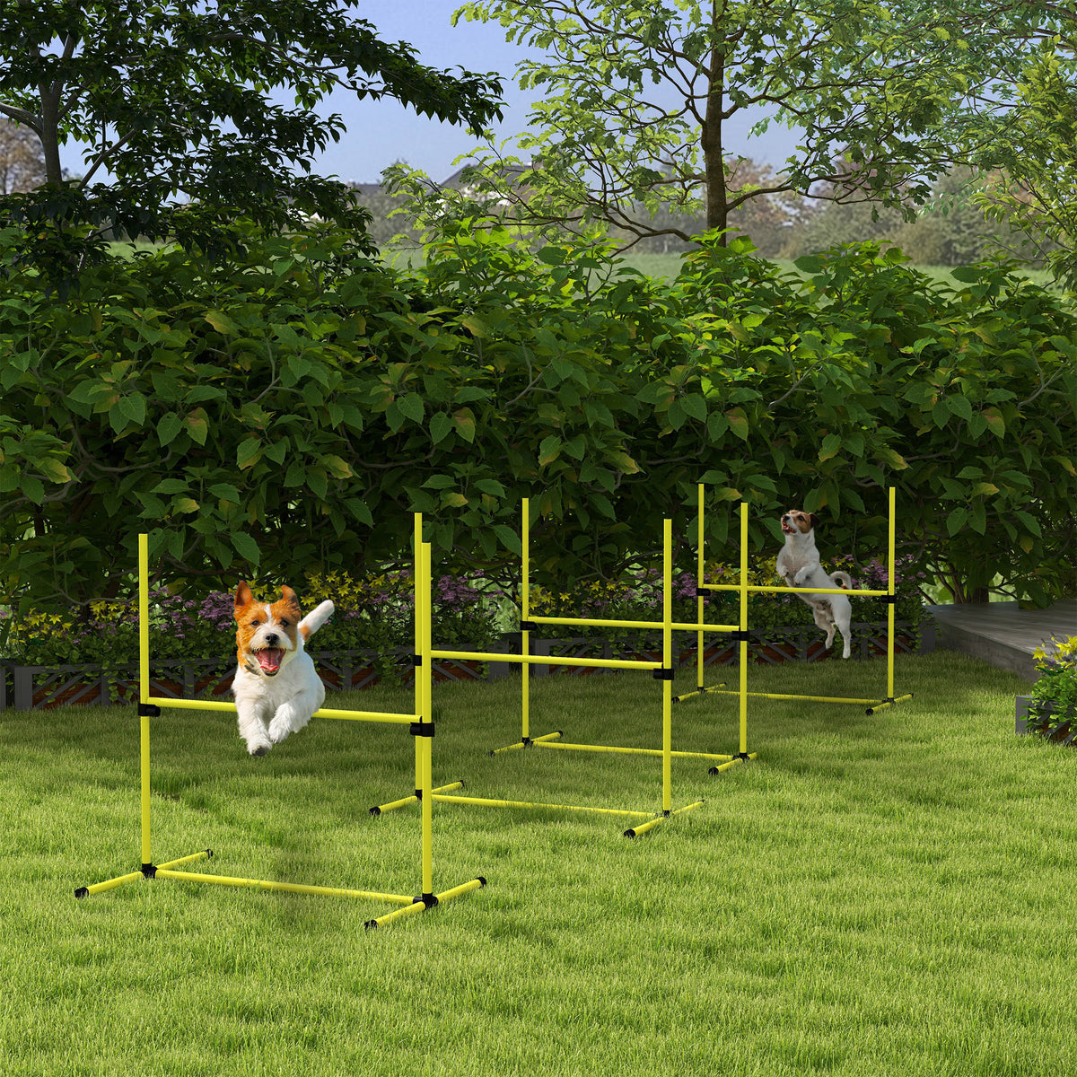 4 Piece Dog Agility Set with Adjustable Height Jump Bars Carry Bag Displacing - Image 2
