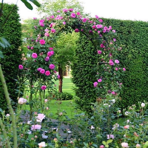 78inch H X 45inch W Metal Garden Arch Trellis Adjustable Arbor Trellis For - Image 4