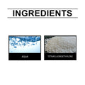 Car Coating Agent Paint Protection Gloss Restoration Sealant