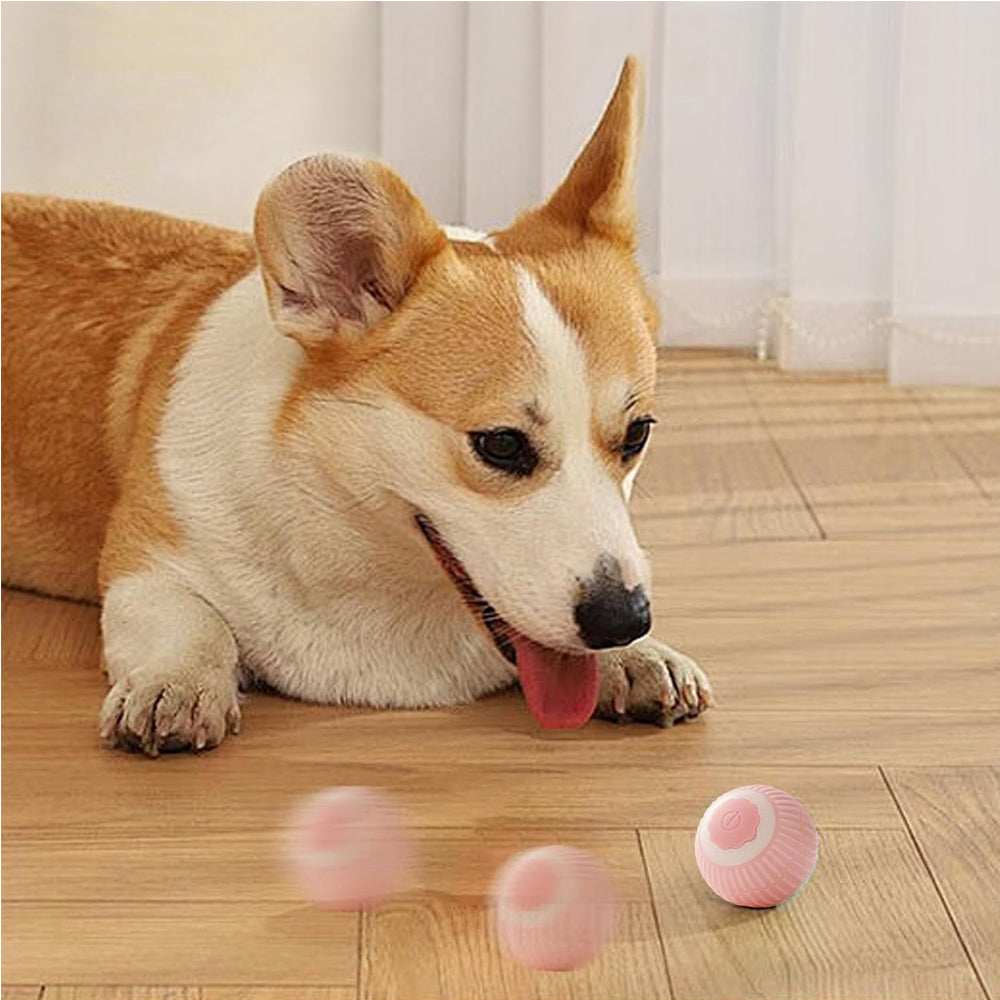 Interactive Rolling Cat Ball - Image 3