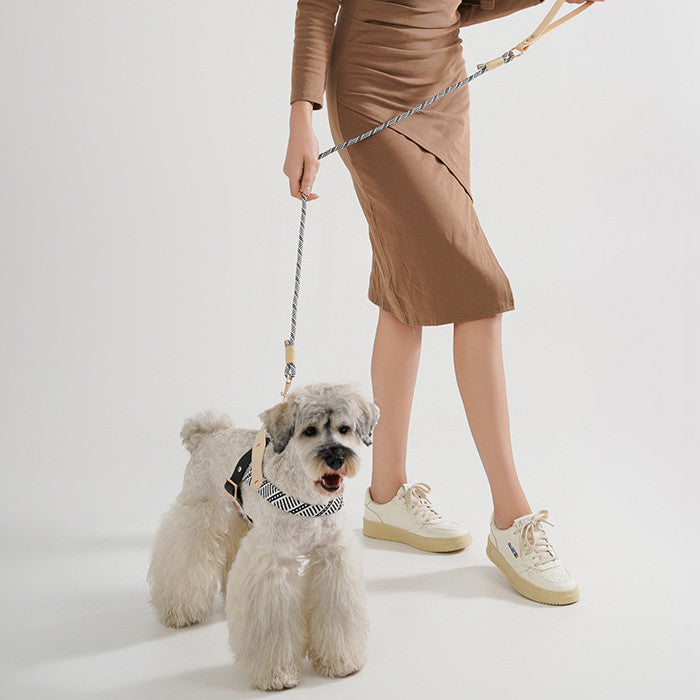 Dog Hand Holding Rope Pet Harness Chain - Image 3