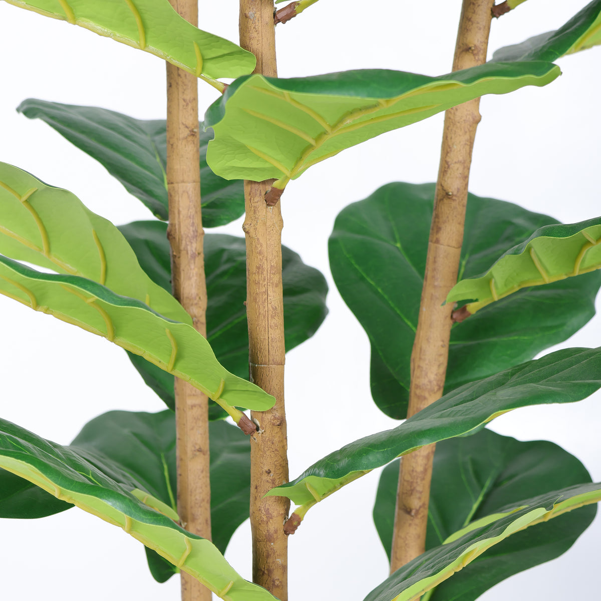 5.2FT Artificial Fiddle Leaf Fig Tree With Decorative White Pot Real Touch - Image 4